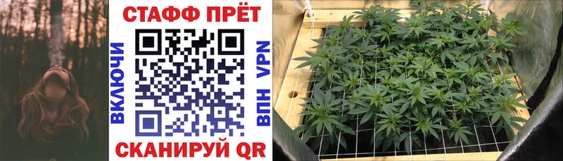  Кокаин Шахунья