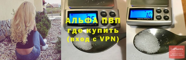 гашик Богородск