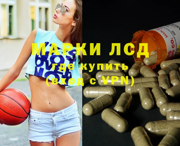PSILOCYBIN Богданович