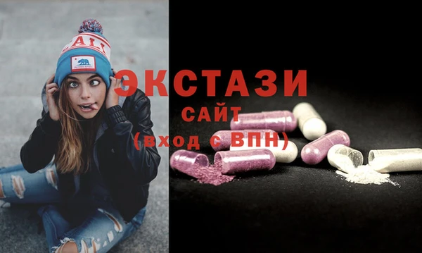 гашик Богородск