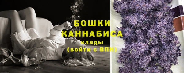 гашик Богородск