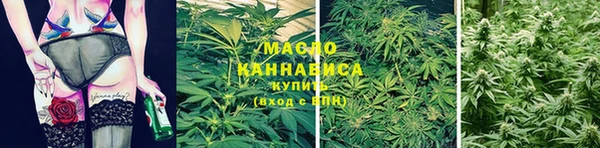 гашик Богородск