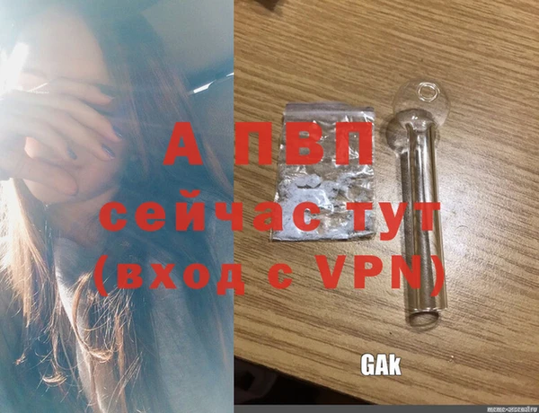 PSILOCYBIN Богданович