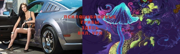 гашик Богородск