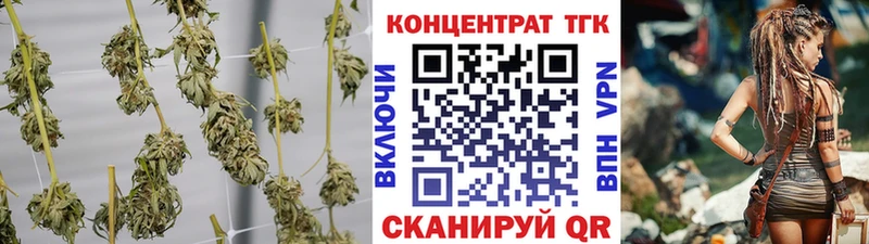 мега   Шахунья  ТГК THC oil 