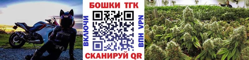 Бошки Шишки план  Шахунья 